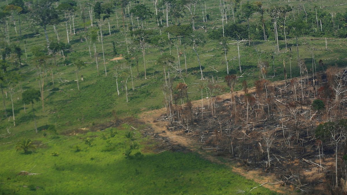 Ničení amazonského pralesa v Brazílii prudce zrychlilo